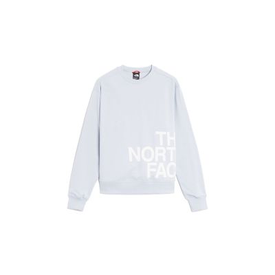 The North Face Blown Up Logo W Sweatshirt - Grigio - Hoodie